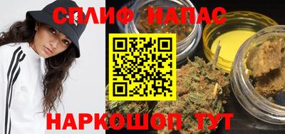стафф Моздок