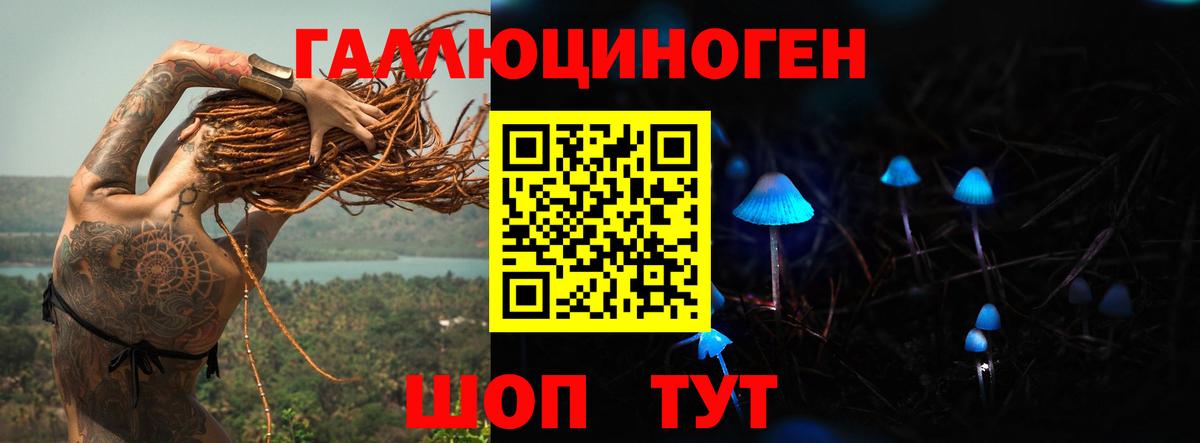 Псилоцибиновые грибы Cubensis  Вход с VPN  Углич 